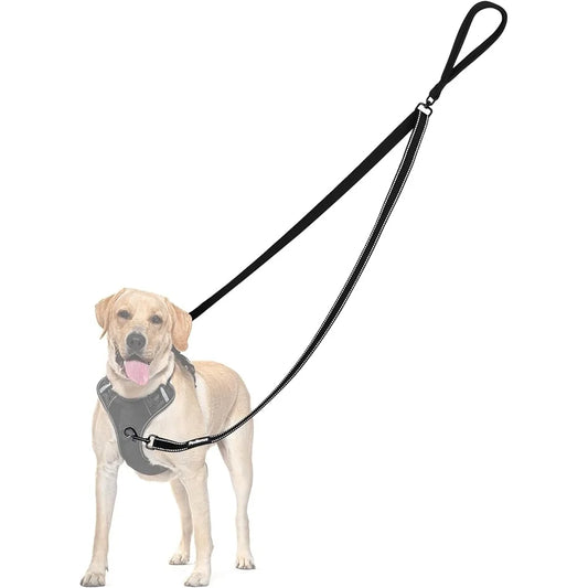 Reflective Two Point Control Dog Leash