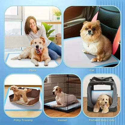 Dog Pee Pads with Leak-Proof Quick-Dry Design