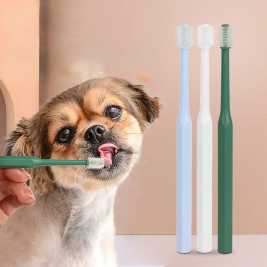 Soft Brushing Freshener Protection Toothbrush