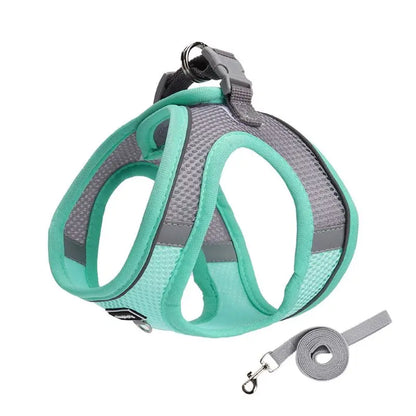 Adjustable Harness Leash Set for Small Dogs
