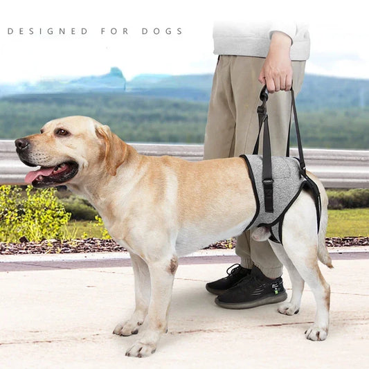 Adjustable Lift Harness for Large Dogs