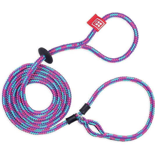 No Pull Dog Harness and Leash