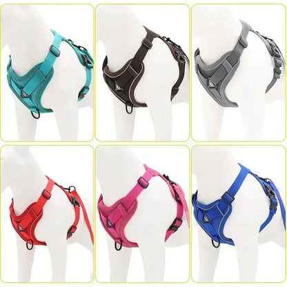 Adjustable No Pull Harness and Leash Set