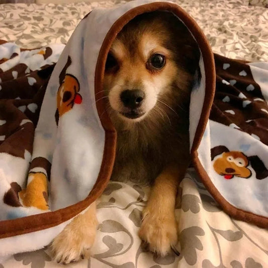 Durable Soft Cozy Machine Washable Pet Blanket
