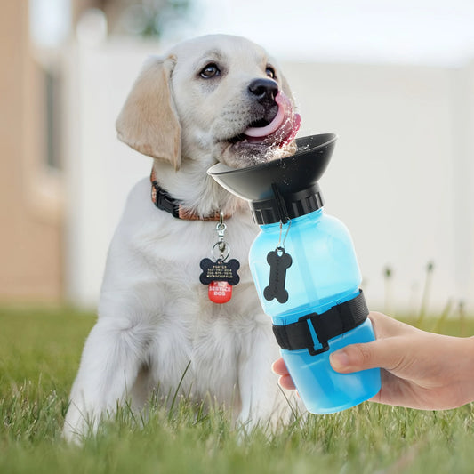 Portable Outdoor Travel Water Bottle