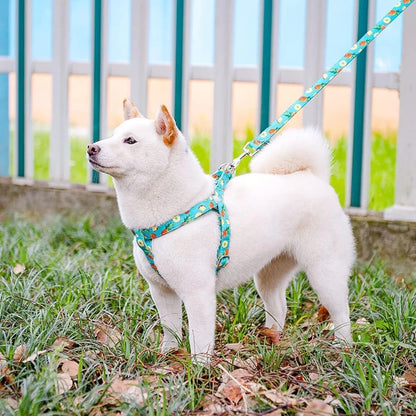 Comfortable Adjustable Heavy Duty No Pull Harness and Leash Set