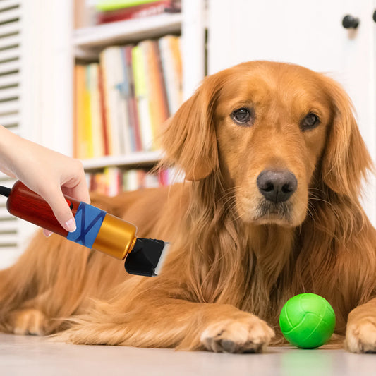 High-efficiency Low Noise Pet Hair Clippers