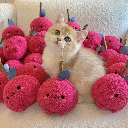 Interactive Plush Cat Toy