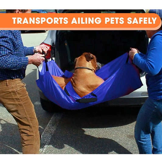 Foldable Transport Stretcher