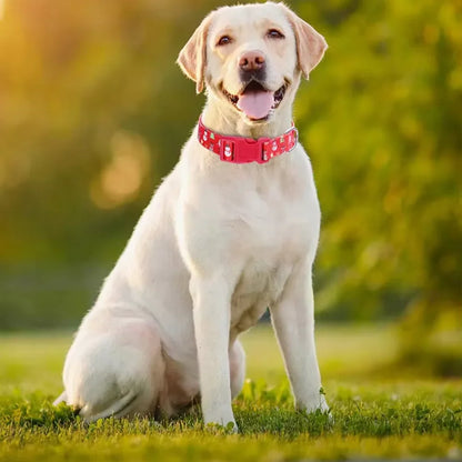 Christmas Dog Collar Harness