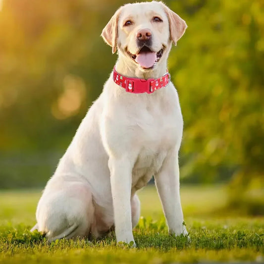 Christmas Dog Collar Harness