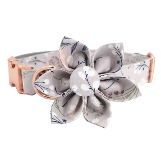 Large adjustable cat/ dog collar
