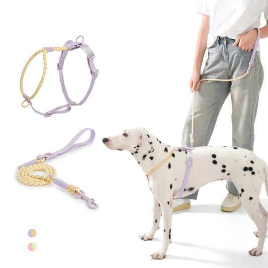 No Pull Safety Reflective Nylon Leash and Harness for Small And Medium Dogs