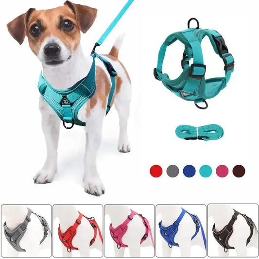 Adjustable No Pull Harness and Leash Set