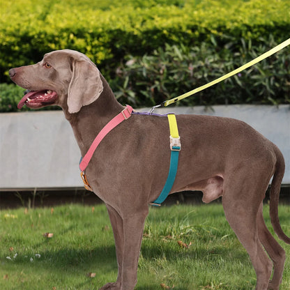 No Pull Adjustable Breathable Dog Harness for Easy Training