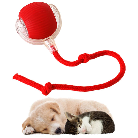 Interactive Rechargeable Self Rotating Ball