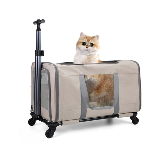 Large Transport Cat trolley with wheels for travel