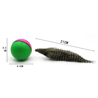 Electric Rolling Ball for Dogs/ Cats
