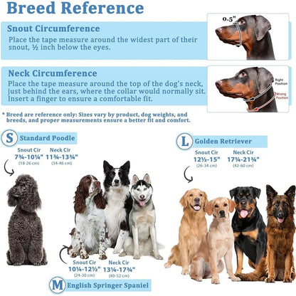Anti-Pulling Harness with Leash