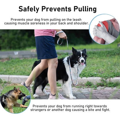 Anti-Pulling Harness with Leash