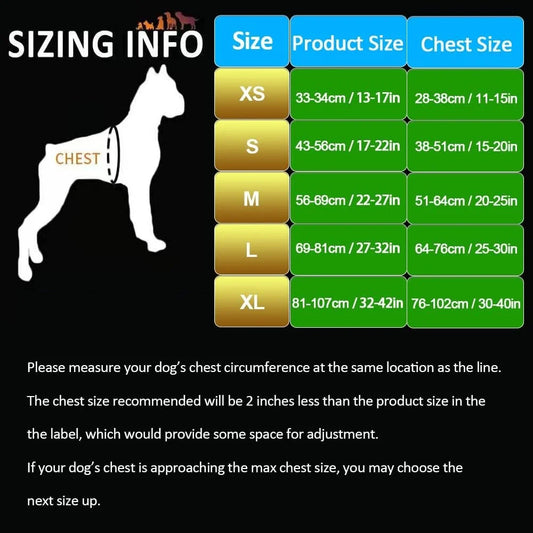 Reflective No Pull Dog Harness with Handle Two Leash Attachments