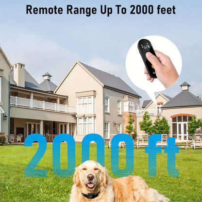 Dog Training Collar with Remote, Waterproof and Rechargeable