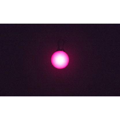 LED Light Visible Night Walking Safety Charm Dog Collar Multiple Colors