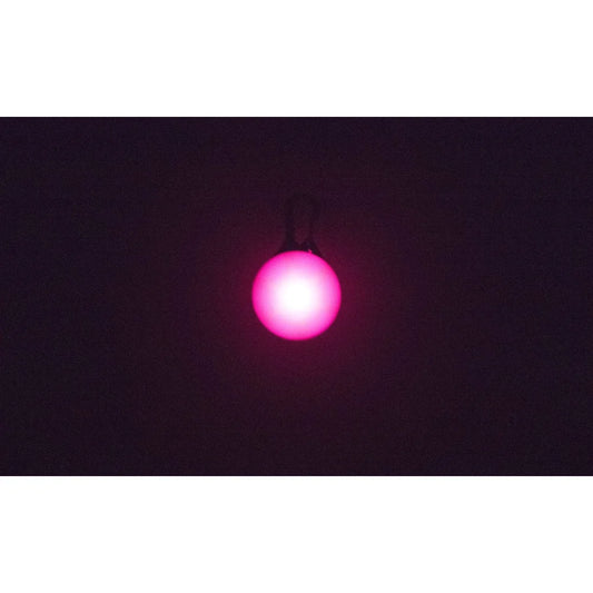 LED Light Visible Night Walking Safety Charm Dog Collar Multiple Colors